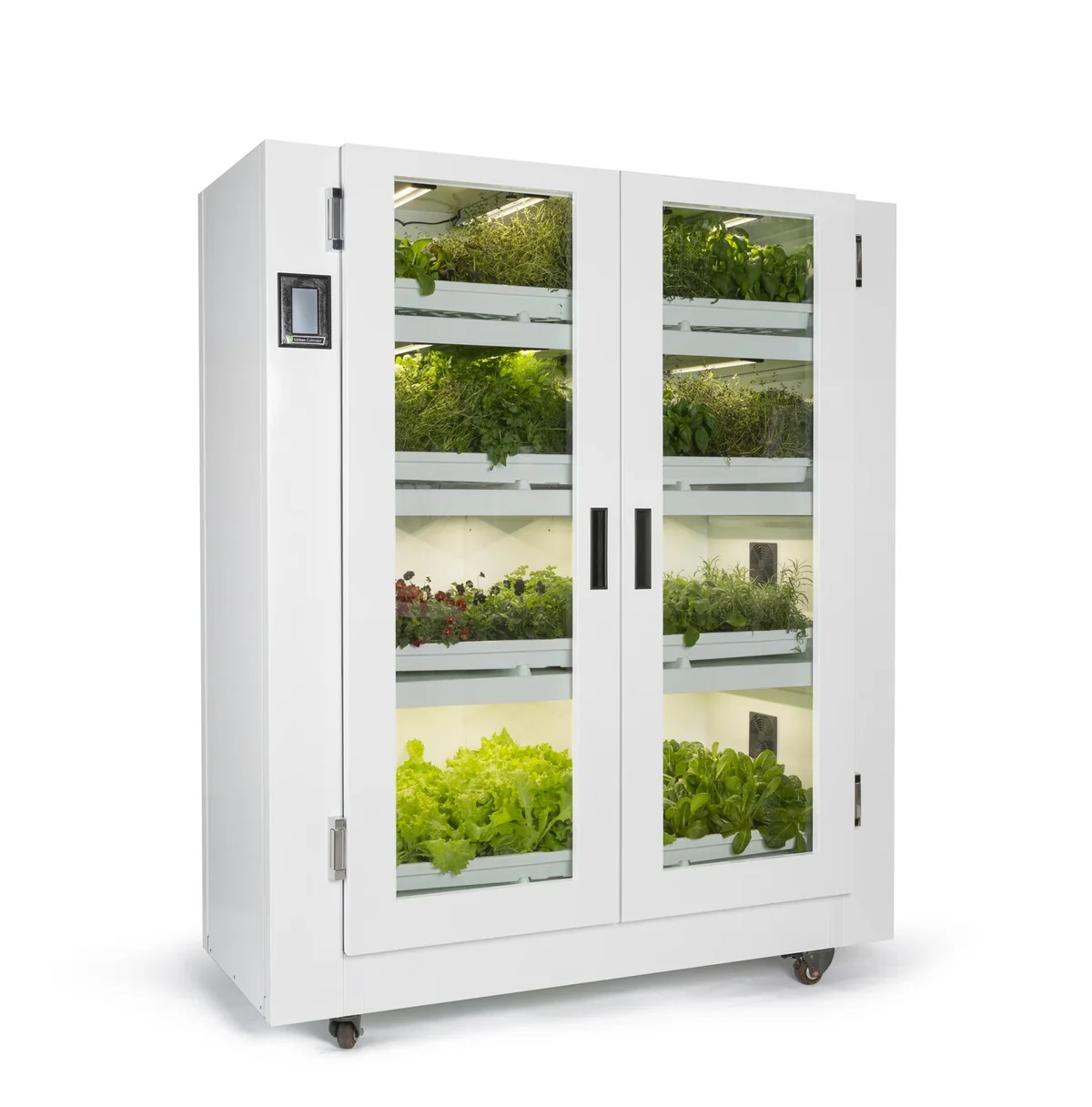 bambus bettgestell Tipilounge 70x140 Montessori aus Bambus (FSC)