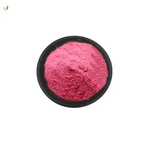 Extracto Puro de Arándano al 98% en Polvo - Extracto Natural de Corteza de Arándano de Grado Alimenticio para Infecciones Urinarias e Inmunidad - Venta al por Mayor OEM a Granel - Product Image 1