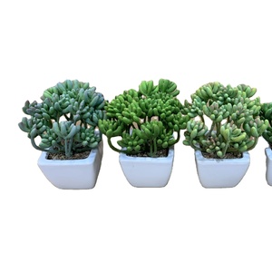Tanaman sukulen buatan, tanaman Mini palsu dalam semen imitasi terlihat pot kecil realistis sukulen palsu dalam ruangan untuk ZR5013 - Product Image 1