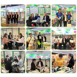 Halal preto cominho semente óleo softgel cápsula oem preto cominho semente óleo softgel - Product Image 3