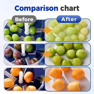 Machine à peler les raisins électrique, machine à peler l'ail, nouveau modèle 2025, outil automatique compact pour peler les fruits (raisins, ail, tomates, cerises) - Product Image 6