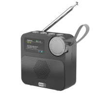 2025 Neues Modell Tragbares LCD Kabelloses BT Digital DAB/DAB+ Radio mit Mini-Wecker Mini Plastik-Radio