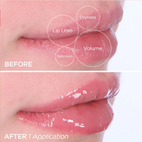 Huile à lèvres repulpante en gros, gloss aromatisé, marque privée, logo personnalisé, faible MOQ, sérum huileux repulpant pour les lèvres