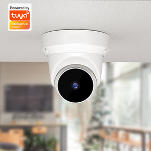 2022 Neuankömmling Zwei-Wege-Audio-Tuya-Netzwerk kamera CCTV-Kamera Sicherheits überwachung & <span class=keywords><strong>IP</strong></span>-Kamera - Product Image 6