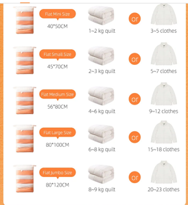 Bán Buôn 4 Gói Thêm Lớn Kích Thước Jumbo PE + PA/Pet + PA Thân Thiện Với Môi Chân Không Con Dấu Lưu Trữ Túi Thiết Kế Tối Giản Lưu Trữ - Product Image 4