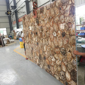 ألواح جدارية رخامية فاخرة بنية كبيرة الحجم ، ألواح حجرية من الخشب المتحجر - Product Image 6