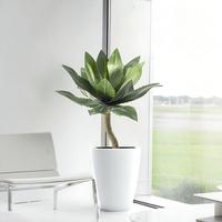 Pohon Tanaman Artifisial 62cm Tahan UV Daun Agave Artifisial Ornamen Lanskap Luar Ruangan