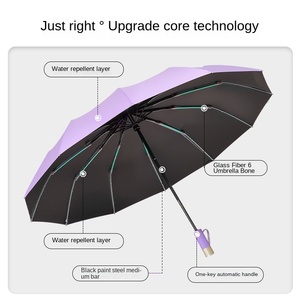 12 Bone Fully <b>Automatic</b> Modern Business Advertising <b>Umbrella</b> Iron Tube 105cm Open Diameter One Button Open Printable for Travel - Product Image 4