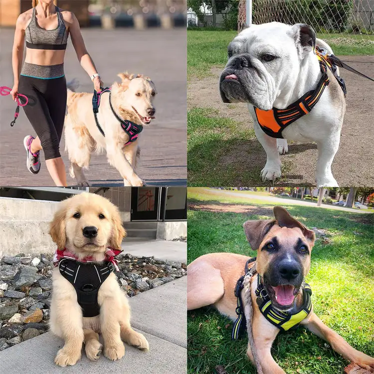 Novo Neoprene Personalizado Reflexivo Tough Ajustável Pet Dog Training Har Set Harness Trela De Luxo No Pull Dog Harness