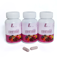 Complément alimentaire à base de plantes Panadda, 30 capsules par flacon, soin à base de racine de Pueraria pour la santé des femmes, soutien énergétique, soin de la peau