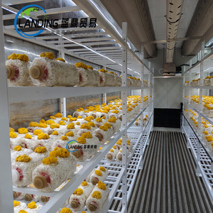 Tùy chỉnh nhà kính nấm phát triển container enoki nấm đậu quả container cho nấm trồng trọt - Product Image 2