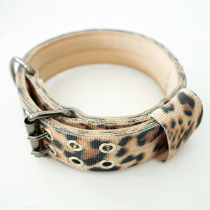 Collar <span class=keywords><strong>de</strong></span> perro mascota acolchado <span class=keywords><strong>de</strong></span> neopreno <span class=keywords><strong>de</strong></span> color resistente con hardware <span class=keywords><strong>de</strong></span> metal inoxidable - Product Image 3