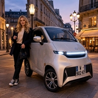 Voiture électrique de luxe homologuée WVTA, à faible vitesse, nouvelle énergie, lithium, propulsion arrière, cuir, caméra, grande autonomie, pour trajets urbains quotidiens