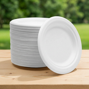 Assiette ronde en bagasse de canne à sucre blanche de 6 pouces, jetable, biodégradable et compostable, pour servir des desserts et des collations - Product Image 3