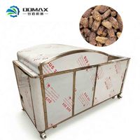 Hoge Efficiëntie Palm Dadels Ontpitmachine Dadels Pit-Scheidingsmachine Rode Jujube Dadels Zaadverwijderingsmachine