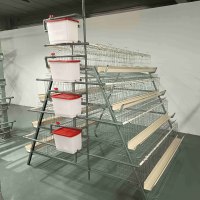 Système de cages en batterie de type A galvanisé à chaud pour l'élevage de poulets pondeurs en grande ferme avicole