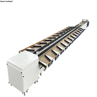 Fruit Sorteermachine Apple Sortering Lijn Automatische Fruit En Groente Reinigings-En Sorteermachine