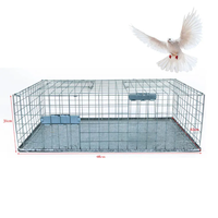 Piège à pigeons professionnel - Cage en fil métallique robuste pour attraper les oiseaux vivants avec porte automatique - pour toit/balcon