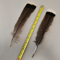 Plumas de Cola de Pavo Salvaje de Alta Calidad al por Mayor, de 25-30 cm, para Atado de Moscas, Manualidades, Sombrerería y Decoración de Tocados