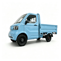 Véhicule électrique mini pick-up multifonctionnel, EEC/COC/L7e CP, moteur 4000W, adapté au transport agricole et urbain
