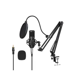 Enping Factory BM800 Cheap Price High Quality Condenser Microphone