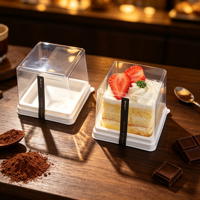Boîtes d'emballage pour gâteaux et desserts, petites, carrées, transparentes, en plastique PET/PP jetables, marque Briwell.