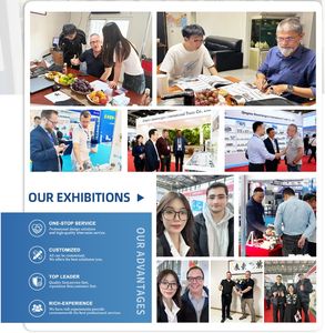 制造商精密OEM压铸高品质锌合金动物工艺品铝合金铸造 - Product Image 5