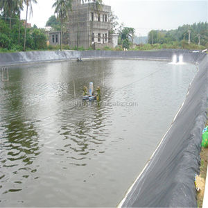 Geo Membraan Vijver Liner Hdpe Dam Liner Hdpe Vis Vijver Liner Irrigatie Reservoir Zwembad Opslag Watertank Voering Waterdammen - Product Image 6