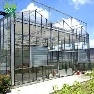 Projet clé en main de serres en verre intelligentes hydroponiques de tomate multi-span agricole commerciale à guichet unique Offre Spéciale pour les légumes
