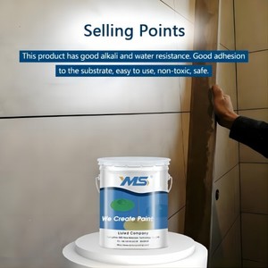 Free Sample YMS Epoxy <strong>Wall</strong> <strong>Putty</strong> for Architectural Use Brush Application Great Adhesion Liquid Coating - Product Image 5