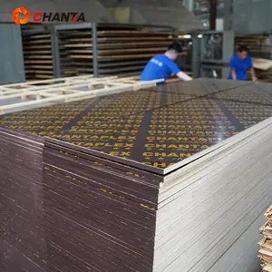 1220*2440*9/12/15/18mm Black Buildplex Film Faced Plywood Recycled Core