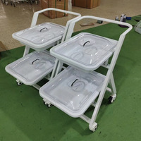 Carro de Transporte para Endoscopios - Carro Médico de Doble Capa para Equipos de Gastroscopia y Broncoscopia