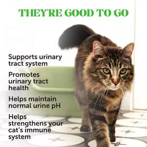 AJMED OEM ODM Complément alimentaire pour la santé des voies urinaires des chats, riche en protéines, écologique, en sandwich, extrait de canneberge, probiotiques, fibres - Product Image 2