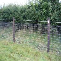 Rouleau de grillage métallique personnalisé pour clôture de pâturage, enclos pour animaux (bovins, ovins, équins, caprins) et clôture de délimitation rurale