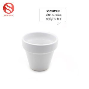 Pas cher <span class=keywords><strong>en</strong></span> <span class=keywords><strong>gros</strong></span> blanc <span class=keywords><strong>en</strong></span> <span class=keywords><strong>terre</strong></span> cuite <span class=keywords><strong>pot</strong></span> rond <span class=keywords><strong>en</strong></span> céramique succulentes <span class=keywords><strong>pot</strong></span> - Product Image 2