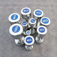 Ensemble d'haltères fixes en acier chromé poli DINUO 1 kg-10 kg, résistant à la corrosion, poignées ergonomiques antidérapantes, entraînements à domicile, bureau
