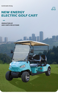 Carrito de Golf Eléctrico Personalizable, Buggy de Bajo Precio - Product Image 6