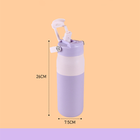 Bouteille d'eau sport isotherme double paroi en acier inoxydable 304, anti-fuite, avec paille et poignée souple, personnalisable en gros