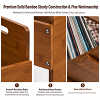 Support de disques vinyles en bambou carbonisé personnalisable, porte-revues, étagère de rangement de bureau, présentoir de vinyles pour les amateurs de musique