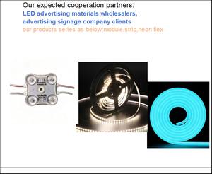 El módulo LED cuadrado de 2 vatios y 4 LED tiene un alto brillo, ideal para cajas de luz publicitarias LED de gran escala. - Product Image 3