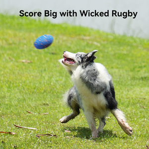 Cheerble E-TPU PC devrim niteliğinde malzeme yükseltme otomatik kendini atlama sıçrama interaktif köpek oynarken Rugby gıcırtılı oyuncak - Product Image 4