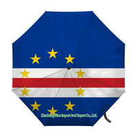 Parapluie pliant avec drapeau du Burkina Faso, ouverture et fermeture automatiques, parapluie compact, portable, grand format, pour la protection contre la pluie, résistant au vent
