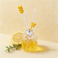 Diffuseur de parfum carré en verre sans BPA, capacité de 50 ml, design tendance