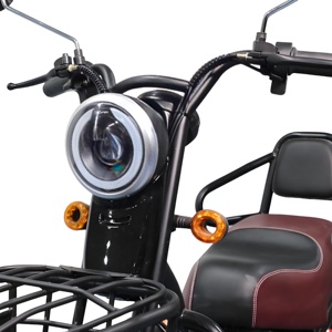 600W pas cher deux places Scooter électrique vélo adulte voiture de tourisme tricycle électrique à trois roues