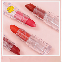 Rouge à lèvres mat non desséchant, couleur transparente avec étui floral mignon, rouge à lèvres pigmenté longue tenue pour usage quotidien