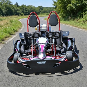 Kart <span class=keywords><strong>électrique</strong></span> de loisirs urbains en gros pour les lieux publics de divertissement en ville - Product Image 4