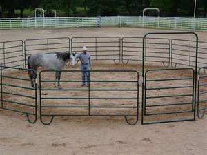 Cheval en acier 6 pieds de haut Clôture de ferme Assemblage facile Cadre en bois de fer pour la construction de jardin Protection de prison Longueur Decoration-2m - Product Image 2
