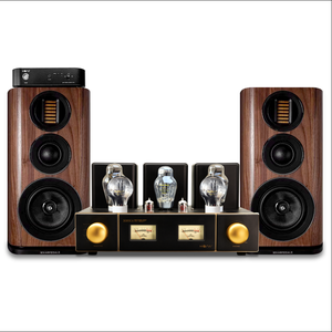 Amplificador de Tubos Vintage 300B MONA Clase A Estéreo HiFi con Rectificador 274B y Tubos 6SN7&ECC83, Medidor VU Retro, Música Analógica Cálida y Pura - Product Image 4