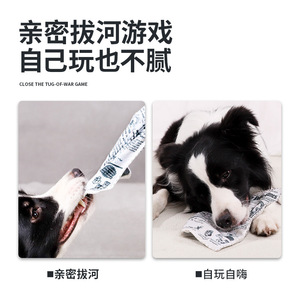 Juguete de papel chirriante para perros, de lona, duradero, apto para los dientes, para jugar en interiores - Product Image 4