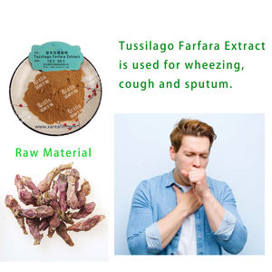 สารสกัดจากพืชธรรมชาติ10:1สารสกัดจากสมุนไพรพร้อมตัวอย่างฟรีสำหรับอาการไอสารสกัดจากดอกโคลท์ฟุต - Product Image 4